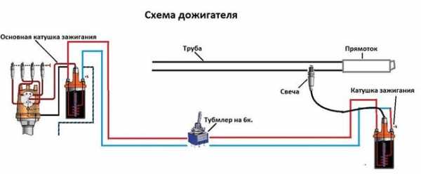 Язык Дракона Фото